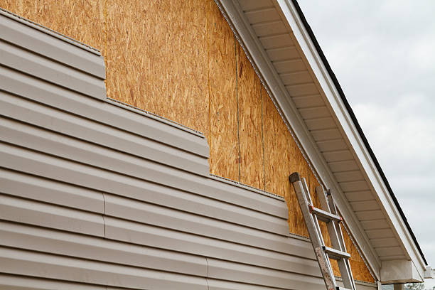 Professional Siding Inspection technician working in Glenwood, GA
